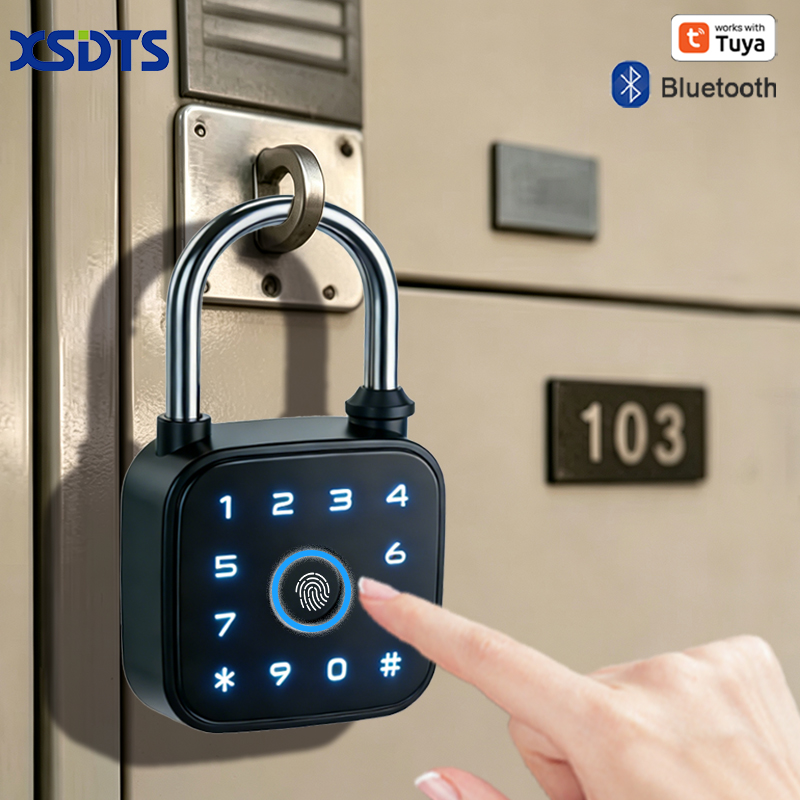 Lucchetto Intelligente Tuya, S - Cabinet Lock Key recensione e prezzo