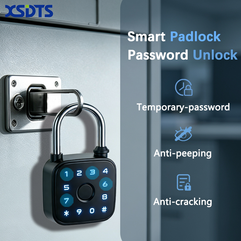 Lucchetto Intelligente Tuya, S - Cabinet Lock Key recensione e prezzo
