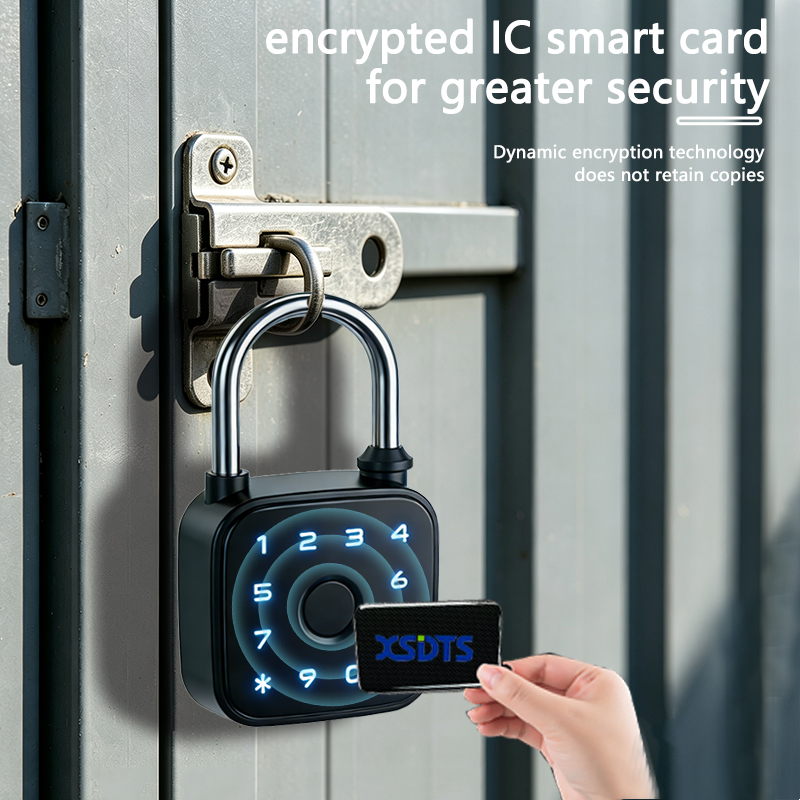 Lucchetto Intelligente Tuya, S - Cabinet Lock Key recensione e prezzo